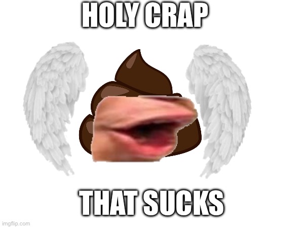 Crap | HOLY CRAP; THAT SUCKS | image tagged in crap | made w/ Imgflip meme maker