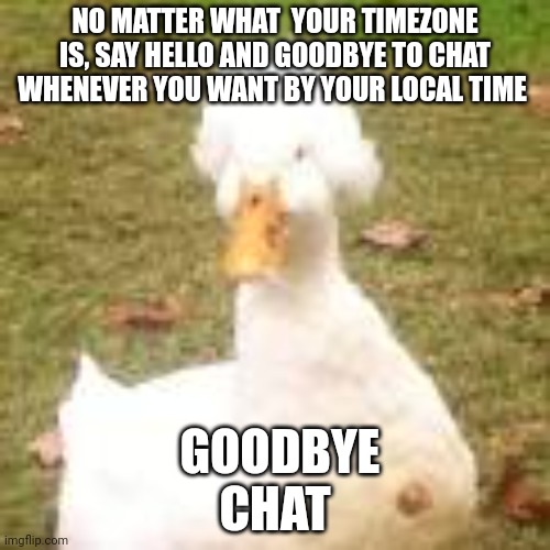 The royal duck | NO MATTER WHAT  YOUR TIMEZONE IS, SAY HELLO AND GOODBYE TO CHAT WHENEVER YOU WANT BY YOUR LOCAL TIME; GOODBYE CHAT | image tagged in the royal duck | made w/ Imgflip meme maker