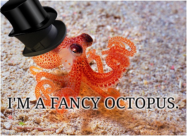 Sir octopus | I'M A FANCY OCTOPUS. | image tagged in sir octopus | made w/ Imgflip meme maker