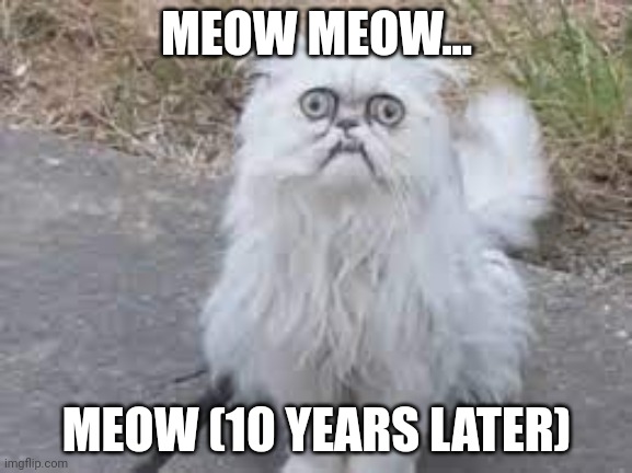 Wilfred Warrior | MEOW MEOW... MEOW (10 YEARS LATER) | image tagged in wilfred warrior | made w/ Imgflip meme maker