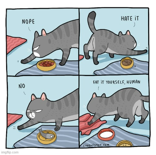 A Cat's Way Of Thinking | image tagged in memes,comics,cats,food,today is not that day,nope | made w/ Imgflip meme maker