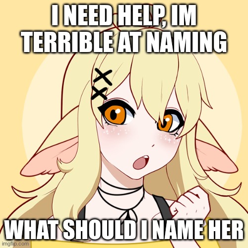 help | I NEED HELP, IM TERRIBLE AT NAMING; WHAT SHOULD I NAME HER | image tagged in help | made w/ Imgflip meme maker