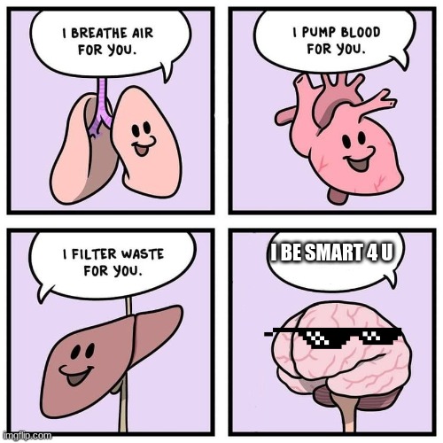 organs and brain | I BE SMART 4 U | image tagged in organs and brain | made w/ Imgflip meme maker