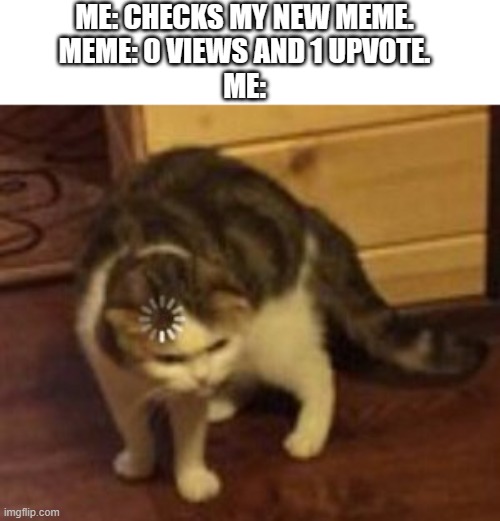 wat? | ME: CHECKS MY NEW MEME.
MEME: 0 VIEWS AND 1 UPVOTE.
ME: | image tagged in loading cat | made w/ Imgflip meme maker