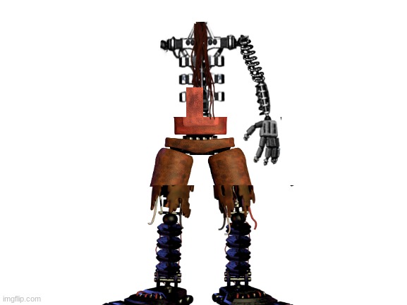 When you get jumpscared by withered foxy in the endoskeletons