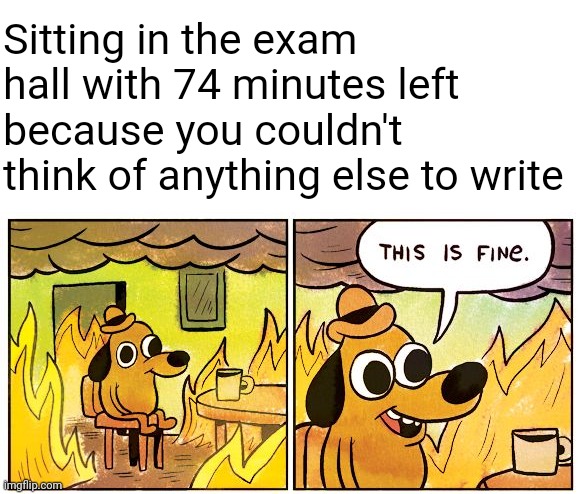 this is happening to me in 3 months | Sitting in the exam hall with 74 minutes left because you couldn't think of anything else to write | image tagged in memes,this is fine | made w/ Imgflip meme maker