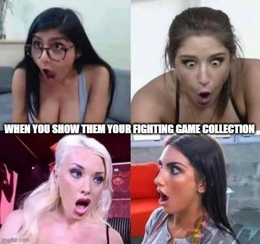 Fighting game collection | WHEN YOU SHOW THEM YOUR FIGHTING GAME COLLECTION | image tagged in fighting games,fighting game collection | made w/ Imgflip meme maker