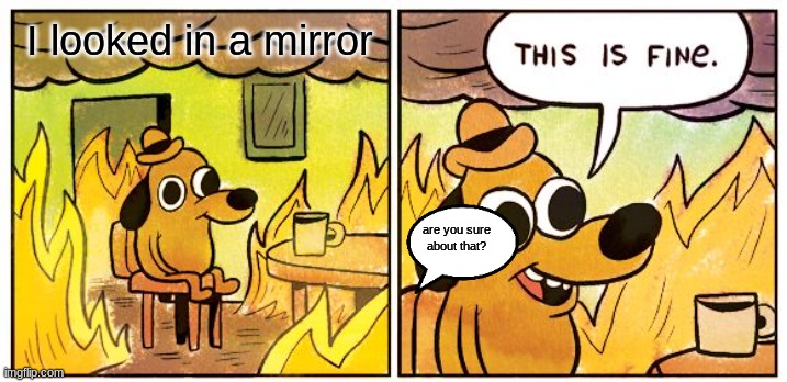 This Is Fine | I looked in a mirror; are you sure about that? | image tagged in memes,this is fine | made w/ Imgflip meme maker