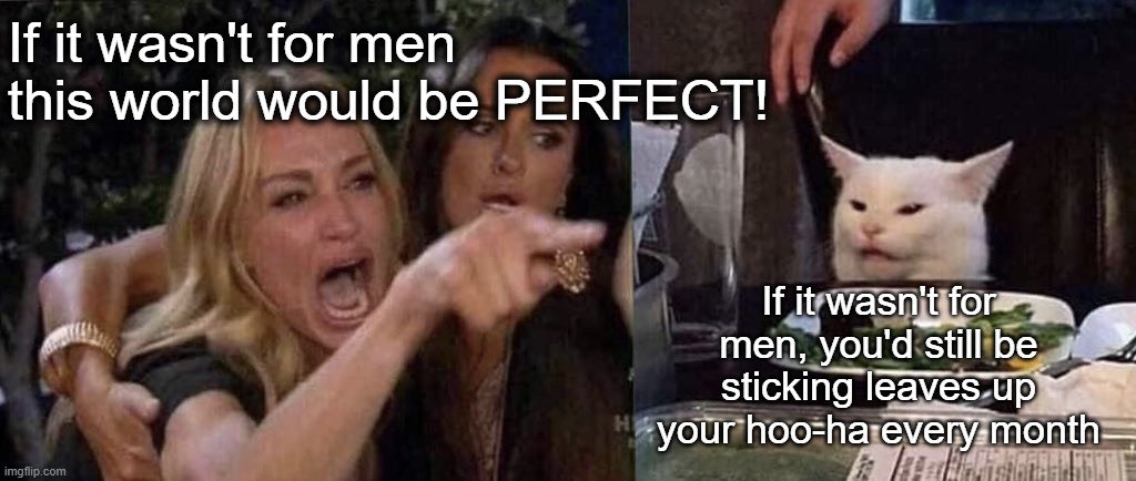 A REAL feminist still would | If it wasn't for men this world would be PERFECT! If it wasn't for men, you'd still be sticking leaves up your hoo-ha every month | image tagged in woman yelling at cat | made w/ Imgflip meme maker