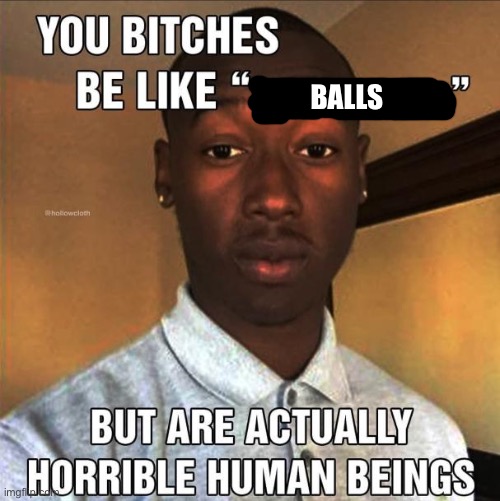 You Bitches Be Like | BALLS | image tagged in you bitches be like | made w/ Imgflip meme maker