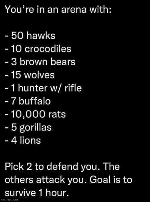 Who would you pick to fight for you? | made w/ Imgflip meme maker