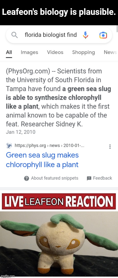 I don't actually look at it so I can't verify information. | Leafeon's biology is plausible. | image tagged in live leafeon reaction,florida,eevee | made w/ Imgflip meme maker