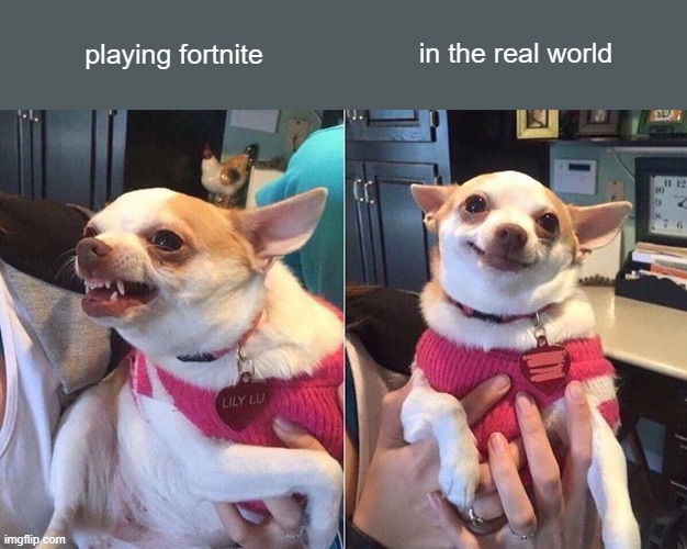 fortnite vs. irl | in the real world; playing fortnite | image tagged in angry dog meme,fortnite,fortnite meme | made w/ Imgflip meme maker
