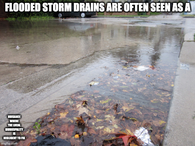 Blocked Storm Drain | FLOODED STORM DRAINS ARE OFTEN SEEN AS A; NUISANCE WHERE THE LOCAL MUNICIPALITY IS NEGLIGENT TO FIX | image tagged in storm drain,memes | made w/ Imgflip meme maker