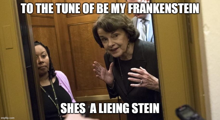 lieing stein | TO THE TUNE OF BE MY FRANKENSTEIN; SHES  A LIEING STEIN | image tagged in sneaky diane feinstein | made w/ Imgflip meme maker