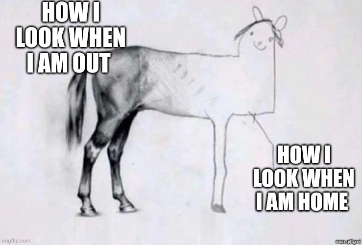 Horse Drawing | HOW I LOOK WHEN I AM OUT; HOW I LOOK WHEN I AM HOME | image tagged in horse drawing | made w/ Imgflip meme maker