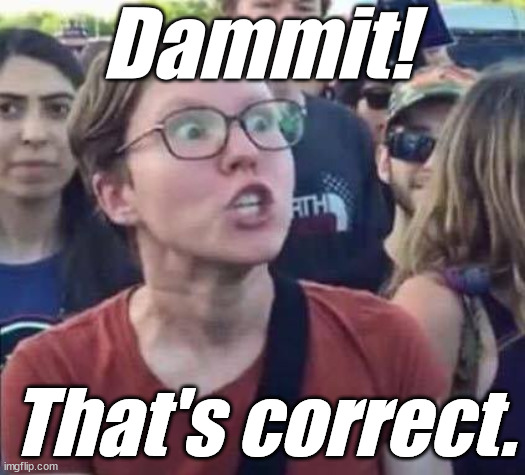 Angry Liberal | Dammit! That's correct. | image tagged in angry liberal | made w/ Imgflip meme maker
