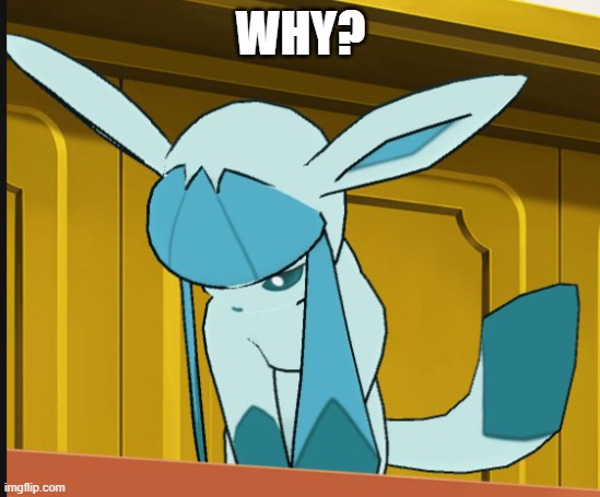 sad glaceon | WHY? | image tagged in sad glaceon | made w/ Imgflip meme maker