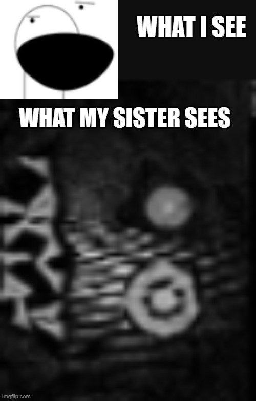 me vs. my sister | WHAT I SEE; WHAT MY SISTER SEES | image tagged in shady scareshark,video games,horror,fnaf | made w/ Imgflip meme maker