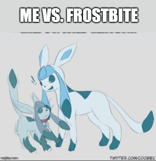 ME VS. FROSTBITE | made w/ Imgflip meme maker