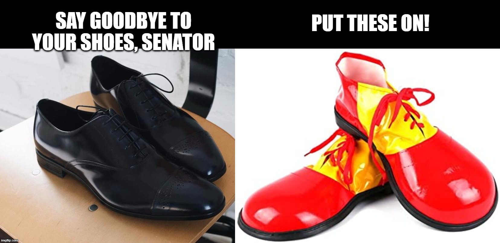 Appropriate for the Senate | image tagged in politics | made w/ Imgflip meme maker