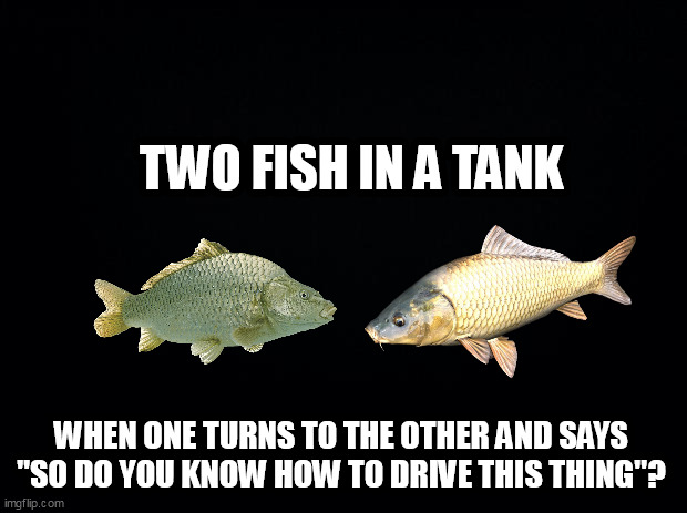 Black background | TWO FISH IN A TANK; WHEN ONE TURNS TO THE OTHER AND SAYS "SO DO YOU KNOW HOW TO DRIVE THIS THING"? | image tagged in black background | made w/ Imgflip meme maker