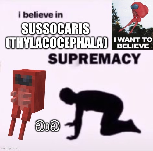 sussocaris my beloved | SUSSOCARIS 
(THYLACOCEPHALA); ඩාඞ | image tagged in i believe in supremacy | made w/ Imgflip meme maker