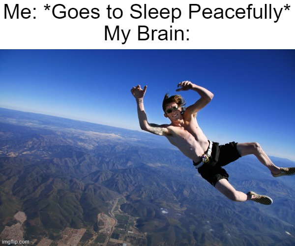 Hahahahaha you're falling now. | Me: *Goes to Sleep Peacefully*
My Brain: | image tagged in skydive without a parachute,relatable memes,memes,funny,so true memes,sleep | made w/ Imgflip meme maker