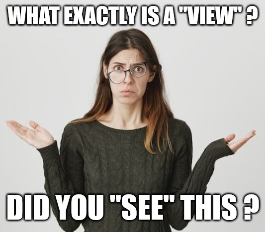 Who,What,where, when | WHAT EXACTLY IS A "VIEW" ? DID YOU "SEE" THIS ? | made w/ Imgflip meme maker