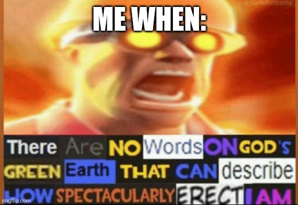No context | ME WHEN: | image tagged in there are no words on god's green earth | made w/ Imgflip meme maker