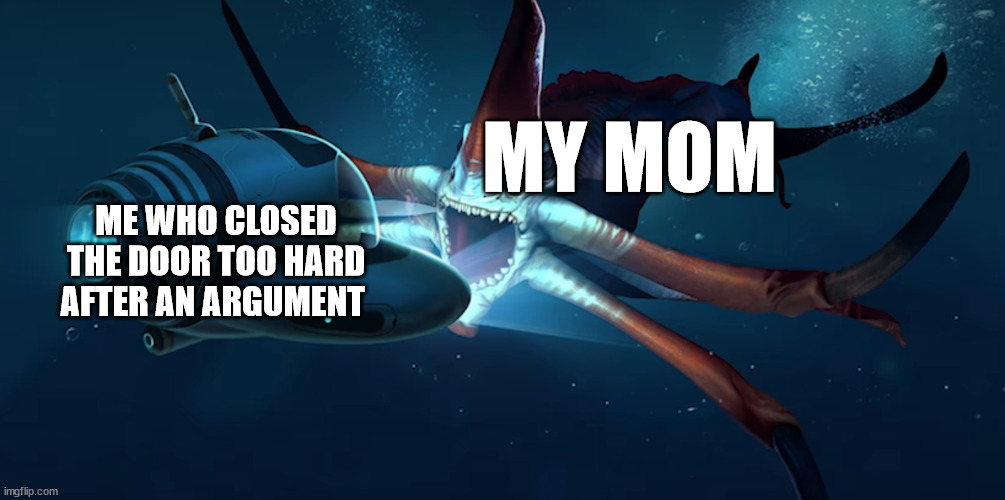 reaper leviathen | MY MOM; ME WHO CLOSED THE DOOR TOO HARD AFTER AN ARGUMENT | image tagged in reaper | made w/ Imgflip meme maker
