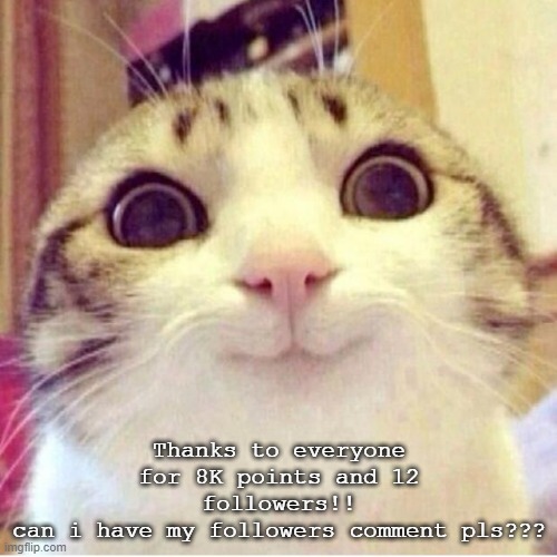 can yall plz | Thanks to everyone for 8K points and 12 followers!!
can i have my followers comment pls??? | image tagged in happy cat | made w/ Imgflip meme maker