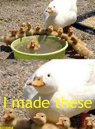Proud mama duck Blank Meme Template