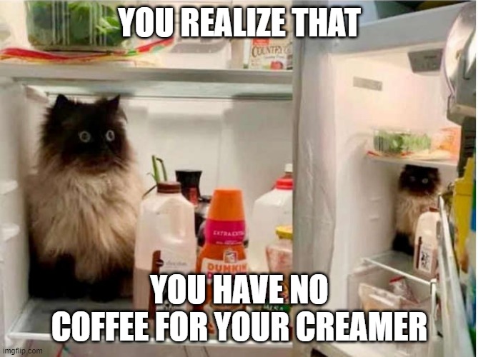 Nooo not the coffee | YOU REALIZE THAT; YOU HAVE NO COFFEE FOR YOUR CREAMER | image tagged in wut | made w/ Imgflip meme maker