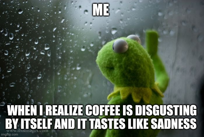 black coffee tastes like sadness | ME; WHEN I REALIZE COFFEE IS DISGUSTING BY ITSELF AND IT TASTES LIKE SADNESS | image tagged in kermit window | made w/ Imgflip meme maker