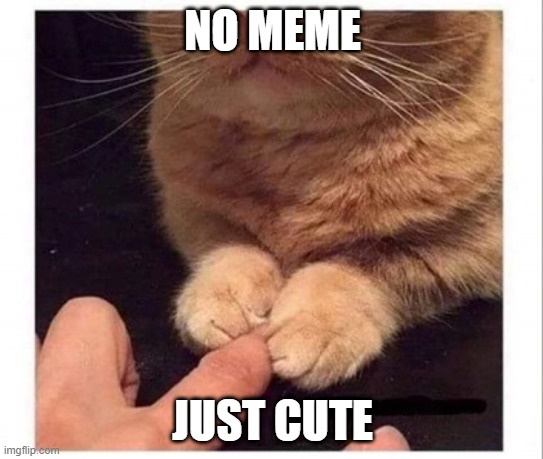 just cute | NO MEME; JUST CUTE | image tagged in u welcome | made w/ Imgflip meme maker