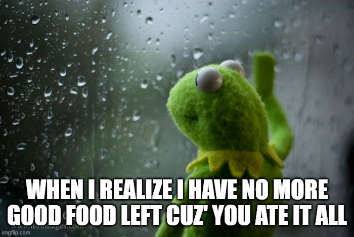 oof moment | WHEN I REALIZE I HAVE NO MORE GOOD FOOD LEFT CUZ' YOU ATE IT ALL | image tagged in kermit window | made w/ Imgflip meme maker