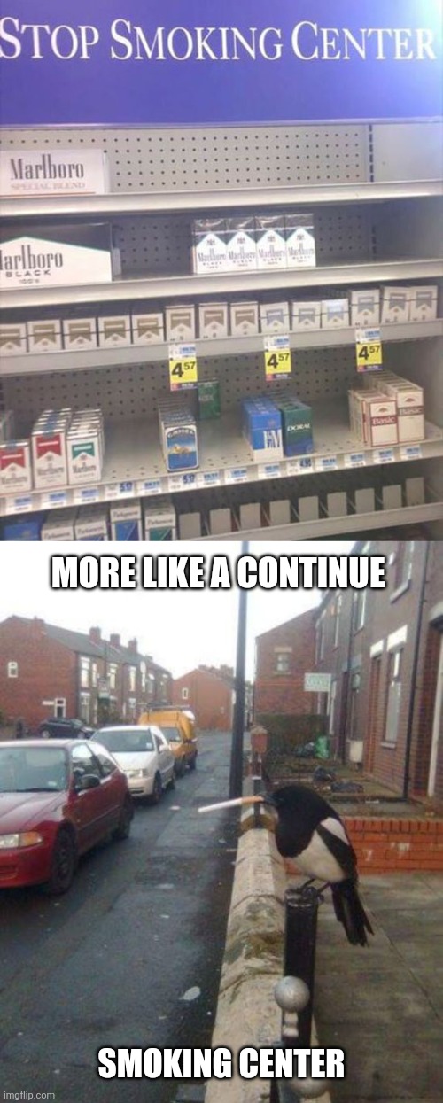Cigarettes | MORE LIKE A CONTINUE; SMOKING CENTER | image tagged in bird smoking,reposts,repost,smoking,cigarettes,memes | made w/ Imgflip meme maker