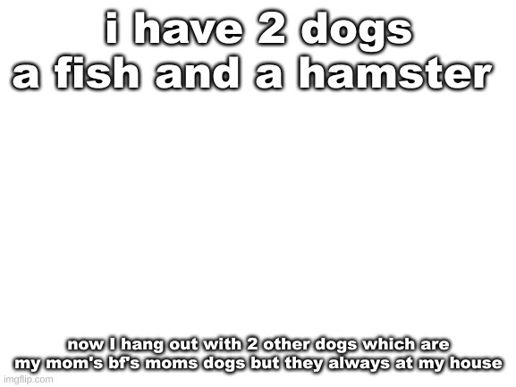 I think we finna get a lizard or a gekio soon | i have 2 dogs a fish and a hamster; now I hang out with 2 other dogs which are my mom's bf's moms dogs but they always at my house | image tagged in blank white template | made w/ Imgflip meme maker
