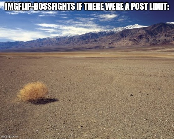 Why do others do that? It cuts down on spam but so does manual approval/bans. Just makes things annoying for frequent posters | IMGFLIP-BOSSFIGHTS IF THERE WERE A POST LIMIT: | image tagged in desert tumbleweed | made w/ Imgflip meme maker