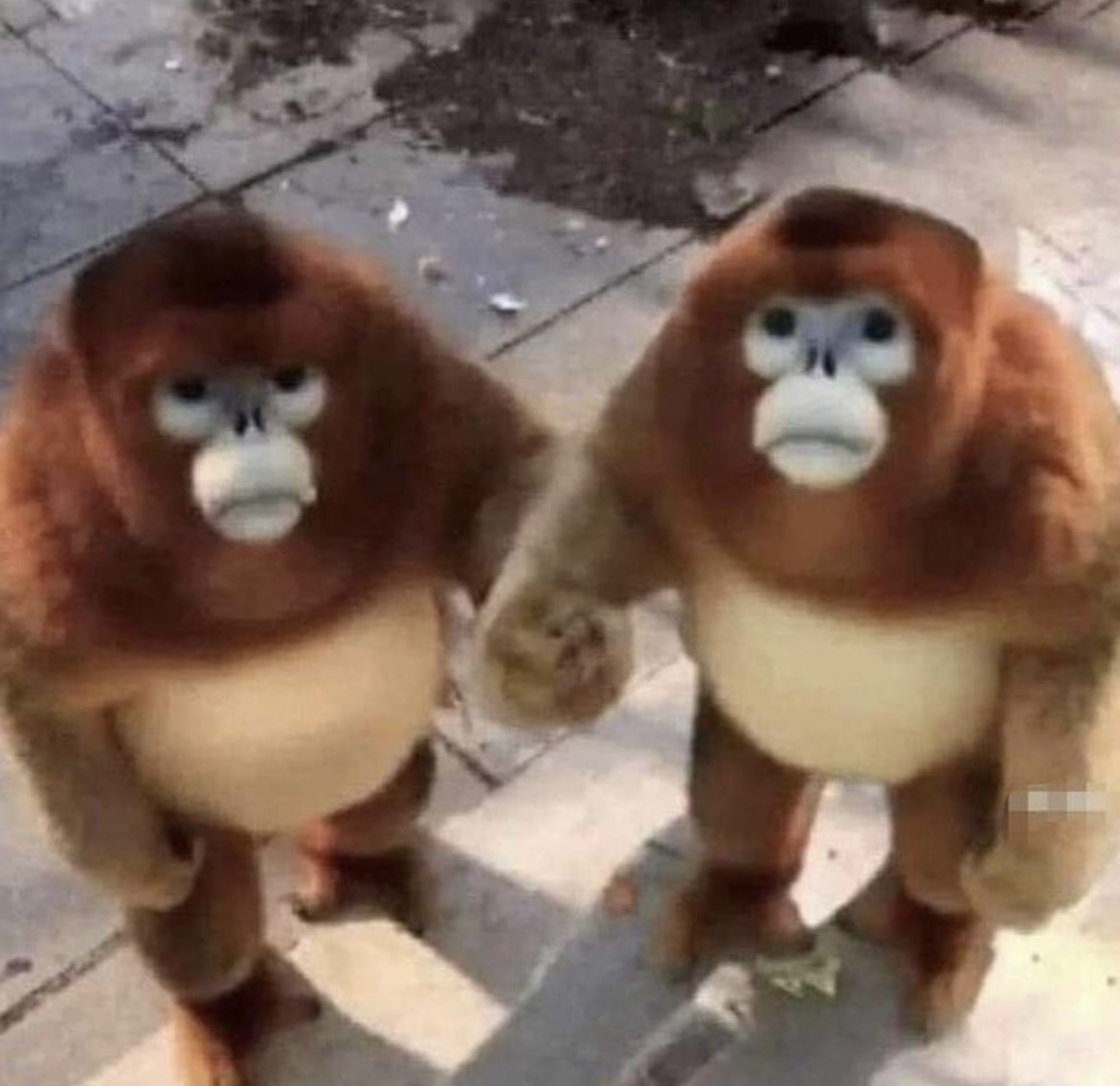 High Quality Monkey’s Holding Hands Blank Meme Template