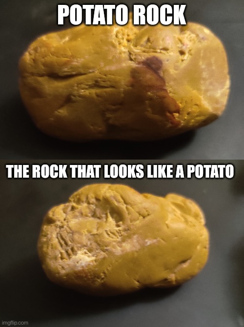 Found this in a parking lot | POTATO ROCK; THE ROCK THAT LOOKS LIKE A POTATO | made w/ Imgflip meme maker