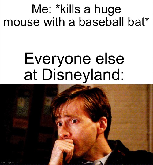 It’s a secret tool that’ll help us later… | Me: *kills a huge mouse with a baseball bat*; Everyone else at Disneyland: | image tagged in concerned look,ayo what,hold up | made w/ Imgflip meme maker