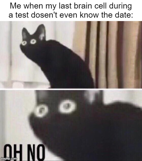 Tests be like | Me when my last brain cell during a test dosen't even know the date: | image tagged in oh no cat,help meh,memes,meme,dank memes,fun | made w/ Imgflip meme maker