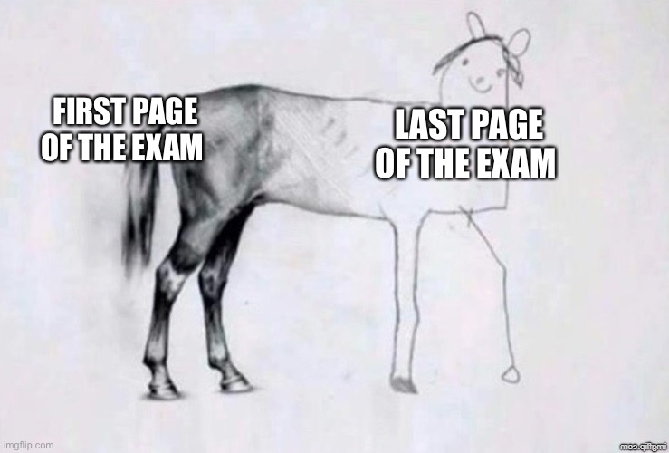 Neatness | FIRST PAGE OF THE EXAM; LAST PAGE OF THE EXAM | image tagged in horse drawing,memes,school,college | made w/ Imgflip meme maker
