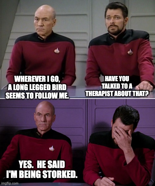 Picard | HAVE YOU TALKED TO A THERAPIST ABOUT THAT? WHEREVER I GO, A LONG LEGGED BIRD SEEMS TO FOLLOW ME. YES.  HE SAID I'M BEING STORKED. | image tagged in picard riker listening to a pun | made w/ Imgflip meme maker