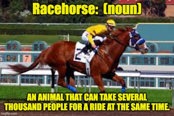 Racehorse | Racehorse:  (noun); AN ANIMAL THAT CAN TAKE SEVERAL THOUSAND PEOPLE FOR A RIDE AT THE SAME TIME. | image tagged in dad joke | made w/ Imgflip meme maker