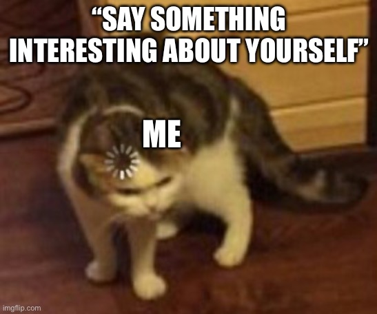 i know you can relate | “SAY SOMETHING INTERESTING ABOUT YOURSELF”; ME | image tagged in loading cat | made w/ Imgflip meme maker