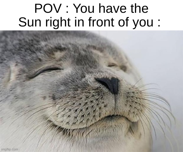 Relatable | POV : You have the Sun right in front of you : | image tagged in memes,satisfied seal | made w/ Imgflip meme maker