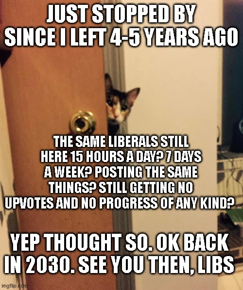 its legit the same libs here lol! Imgflip